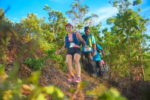 BIB: 
                            <button type="button" onclick="openModal(21840376)" class="btn btn-primary btn-sm float-right btn-popup" data-toggle="modal" data-target=".modal-high-quality">
                        <i class="fas fa-shopping-cart"></i> Add to Cart
                    </button>
                                            <button type="button" onclick="isThisMe(21840376, true)" class="btn btn-success btn-sm float-right btn-popup btn-isme hidden" data-toggle="tooltip" data-placement="bottom" title="นี่คือรูปของคุณใช่ไหม คลิกที่นี่เพื่อเอาเข้าอัลบั้ม">
                        <i class="fas fa-plus"></i> Add to album
                    </button>
                    <button type="button" onclick="isThisMe(21840376, false)" class="btn btn-warning btn-sm float-right btn-popup btn-isnotme hidden">
                        <i class="fas fa-ban"></i> Remove from album
                    </button>